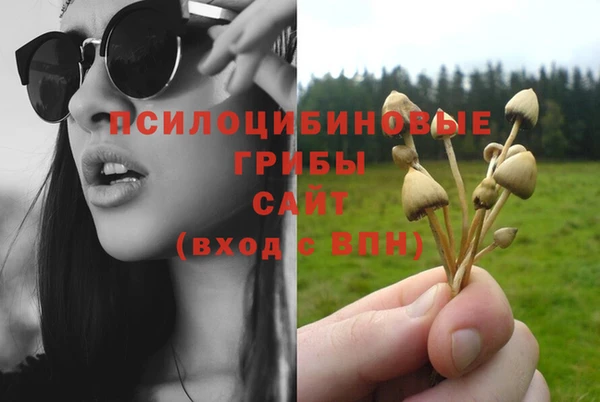Альфа ПВП Абинск