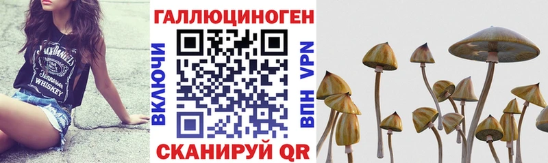 закладка  площадка Telegram  Псилоцибиновые грибы Psilocybe  Бугуруслан 