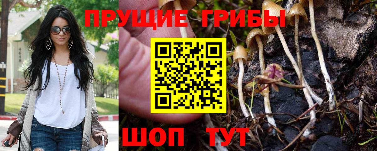 Бугуруслан  Галлюциногенные грибы GOLDEN TEACHER  Вход с VPN 
