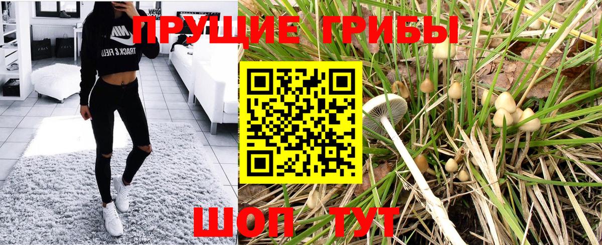 Псилоцибиновые грибы мицелий Бугуруслан