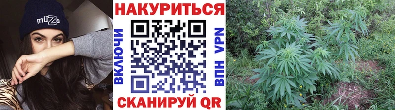 Шишки марихуана конопля Бугуруслан